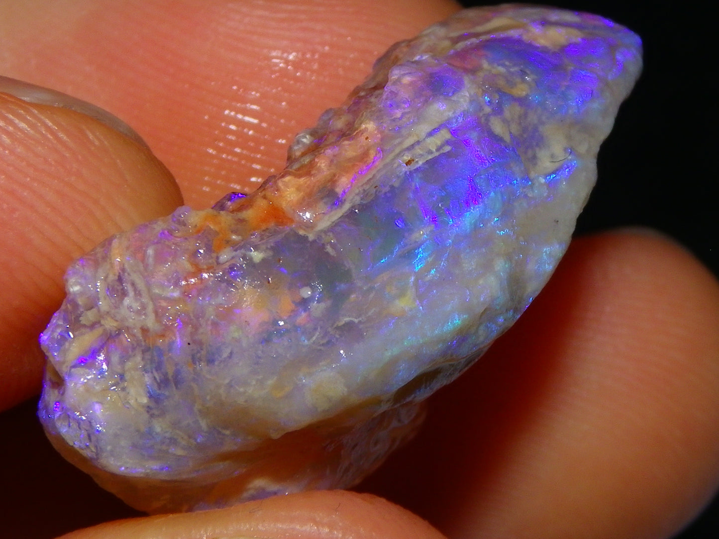 Nice Quality Lightning Ridge Crystal Opal Shell Specimen 27.7cts Bright Blue/Purples