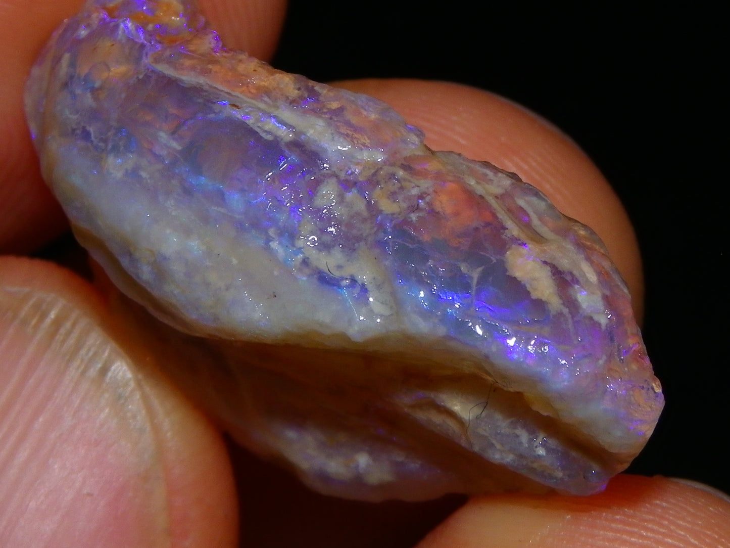 Nice Quality Lightning Ridge Crystal Opal Shell Specimen 27.7cts Bright Blue/Purples