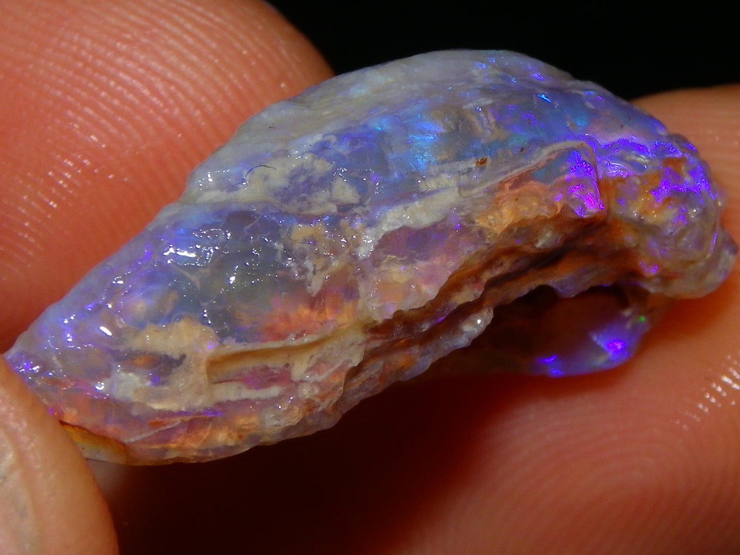 Nice Quality Lightning Ridge Crystal Opal Shell Specimen 27.7cts Bright Blue/Purples