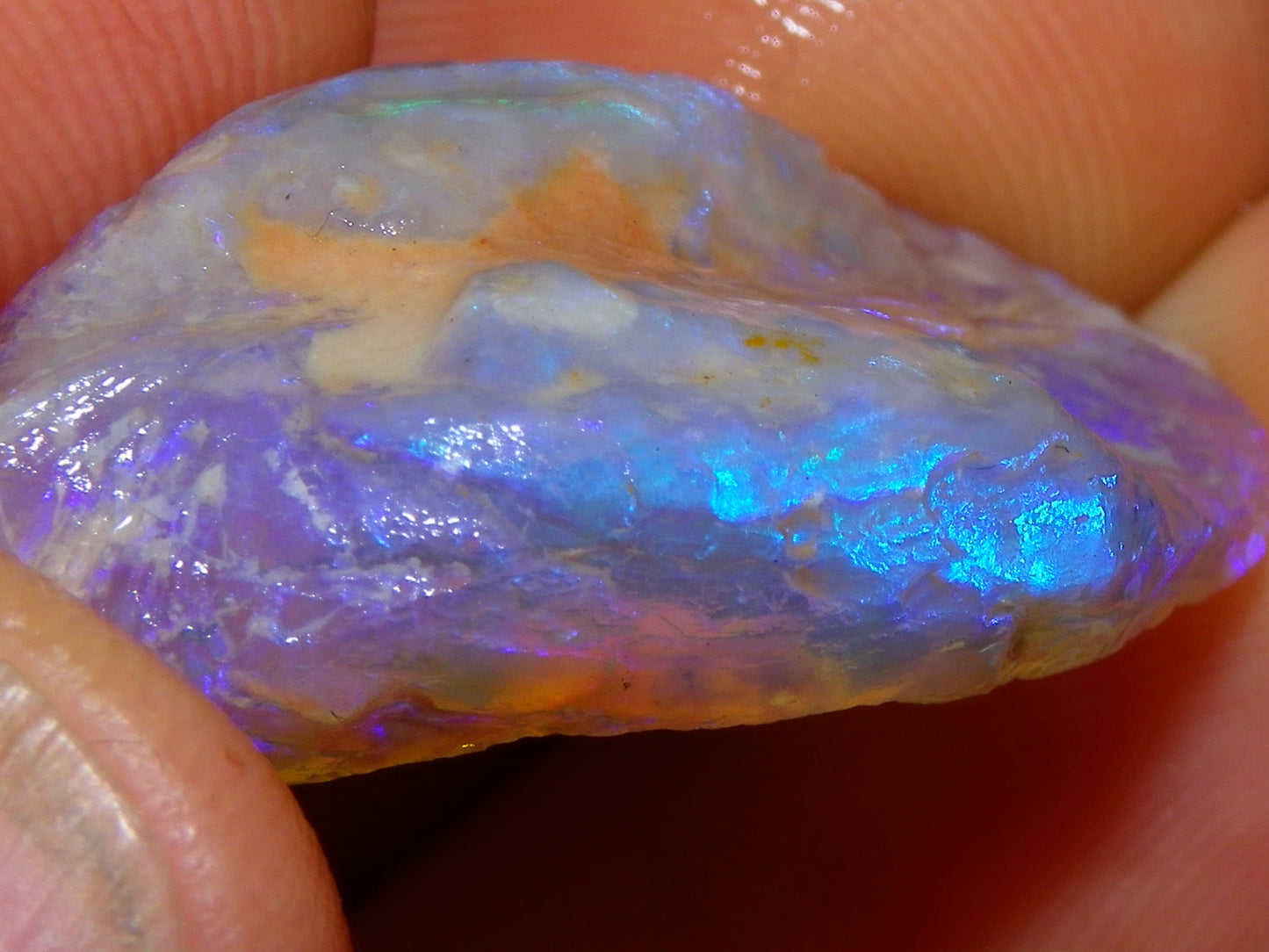 Nice Quality Lightning Ridge Crystal Opal Shell Specimen 27.7cts Bright Blue/Purples