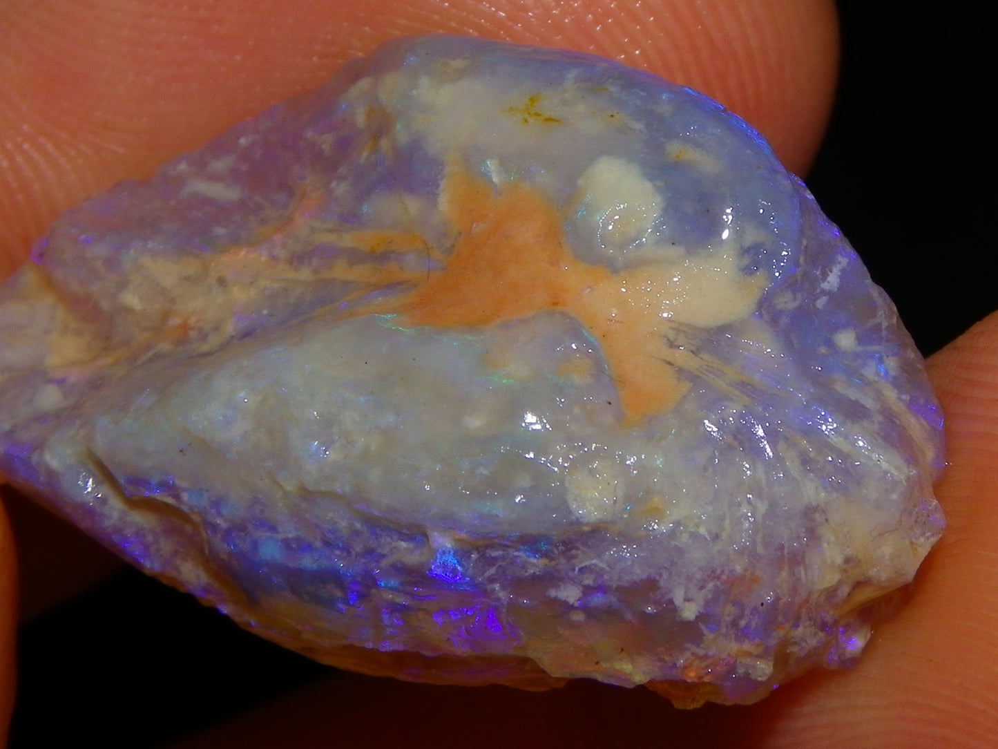 Nice Quality Lightning Ridge Crystal Opal Shell Specimen 27.7cts Bright Blue/Purples