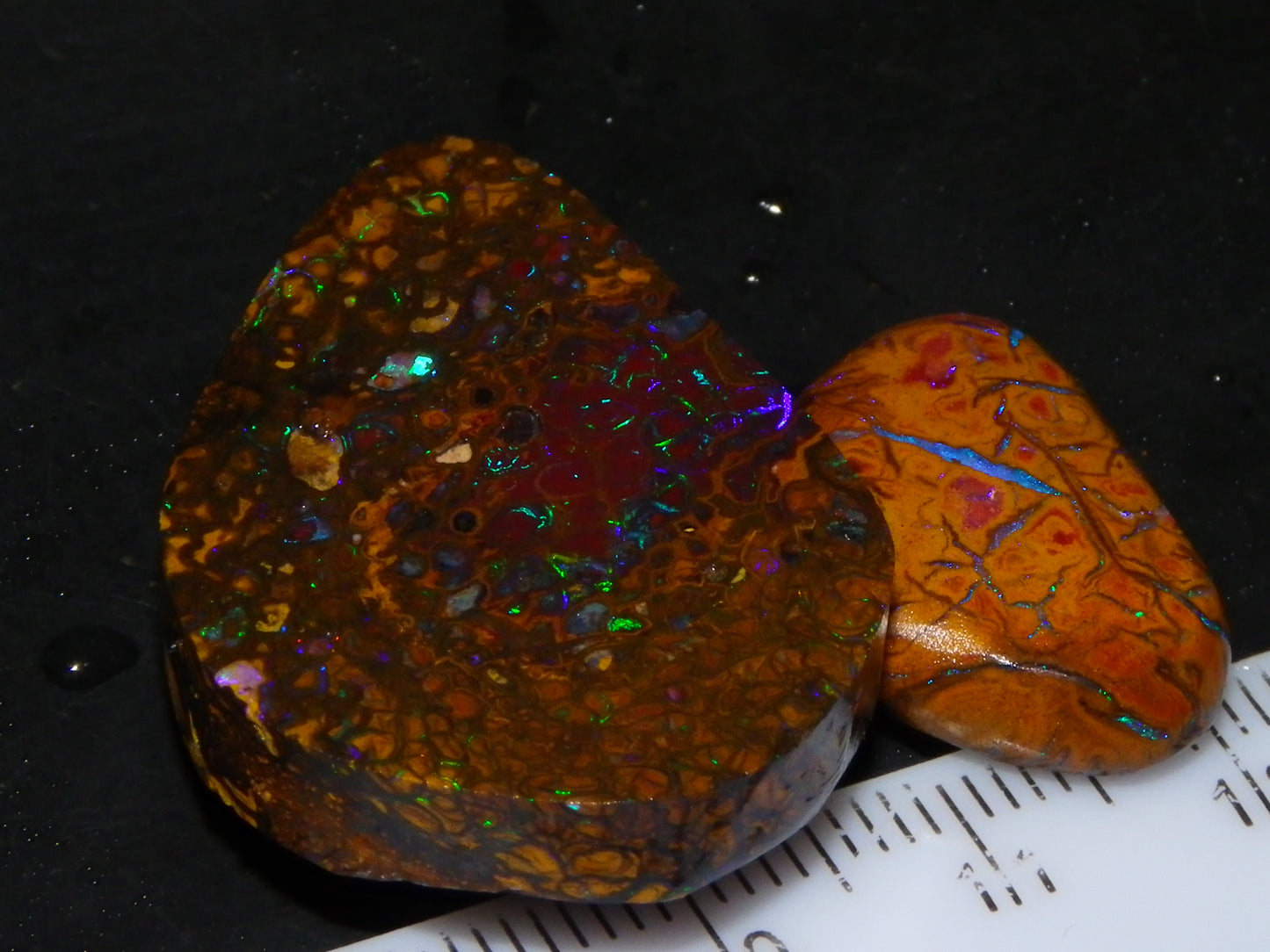 Nice Rubs/Rubbed Preform Koroit Opals x2  Qld Au 65.3cts Patterns/Fires Australia