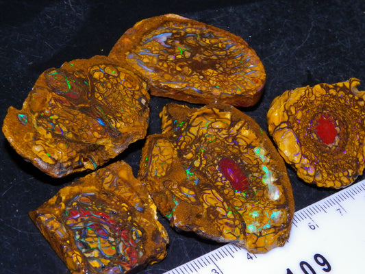 5 Nice Rough/Sliced Koroit Opals/Nuts 315cts Queensland Australia Green/Blue Fires/Patterns