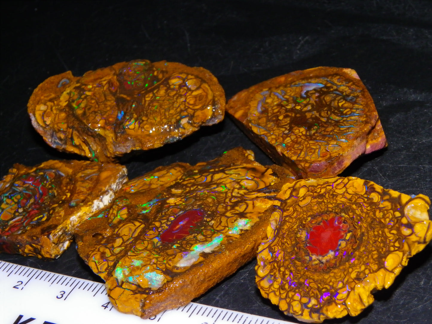 5 Nice Rough/Sliced Koroit Opals/Nuts 315cts Queensland Australia Green/Blue Fires/Patterns