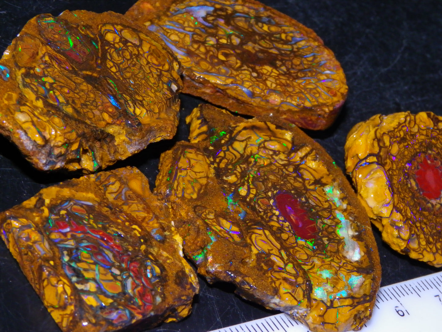 5 Nice Rough/Sliced Koroit Opals/Nuts 315cts Queensland Australia Green/Blue Fires/Patterns