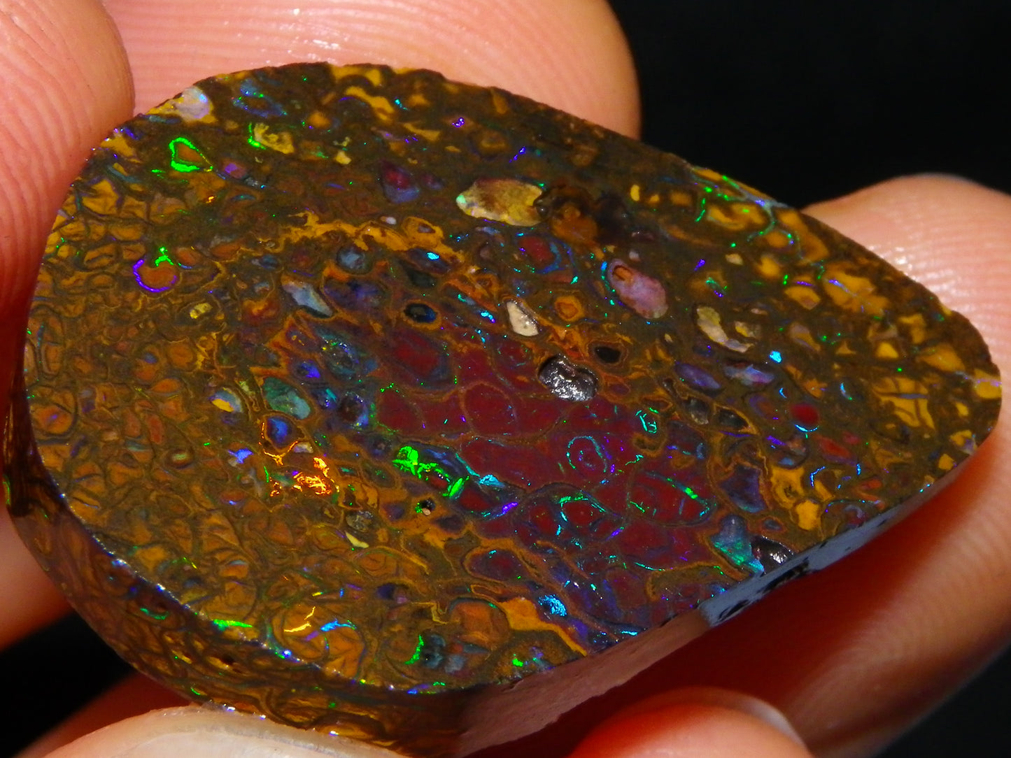 Nice Rubs/Rubbed Preform Koroit Opals x2  Qld Au 65.3cts Patterns/Fires Australia