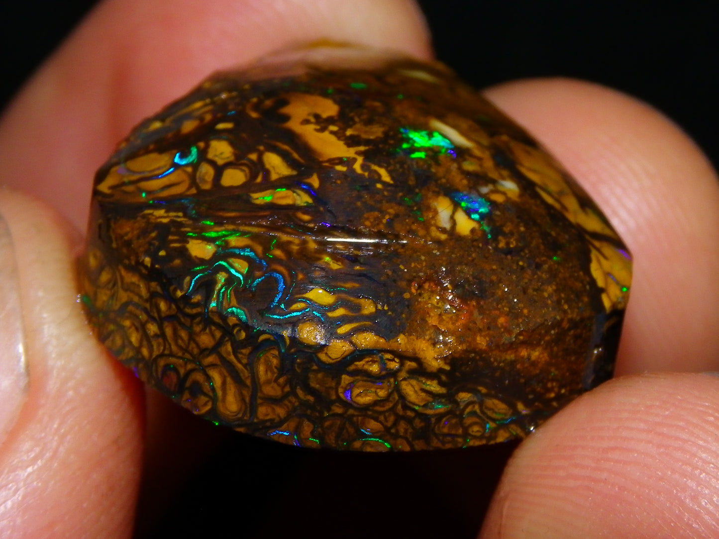 Nice Rubs/Rubbed Preform Koroit Opals x2  Qld Au 65.3cts Patterns/Fires Australia