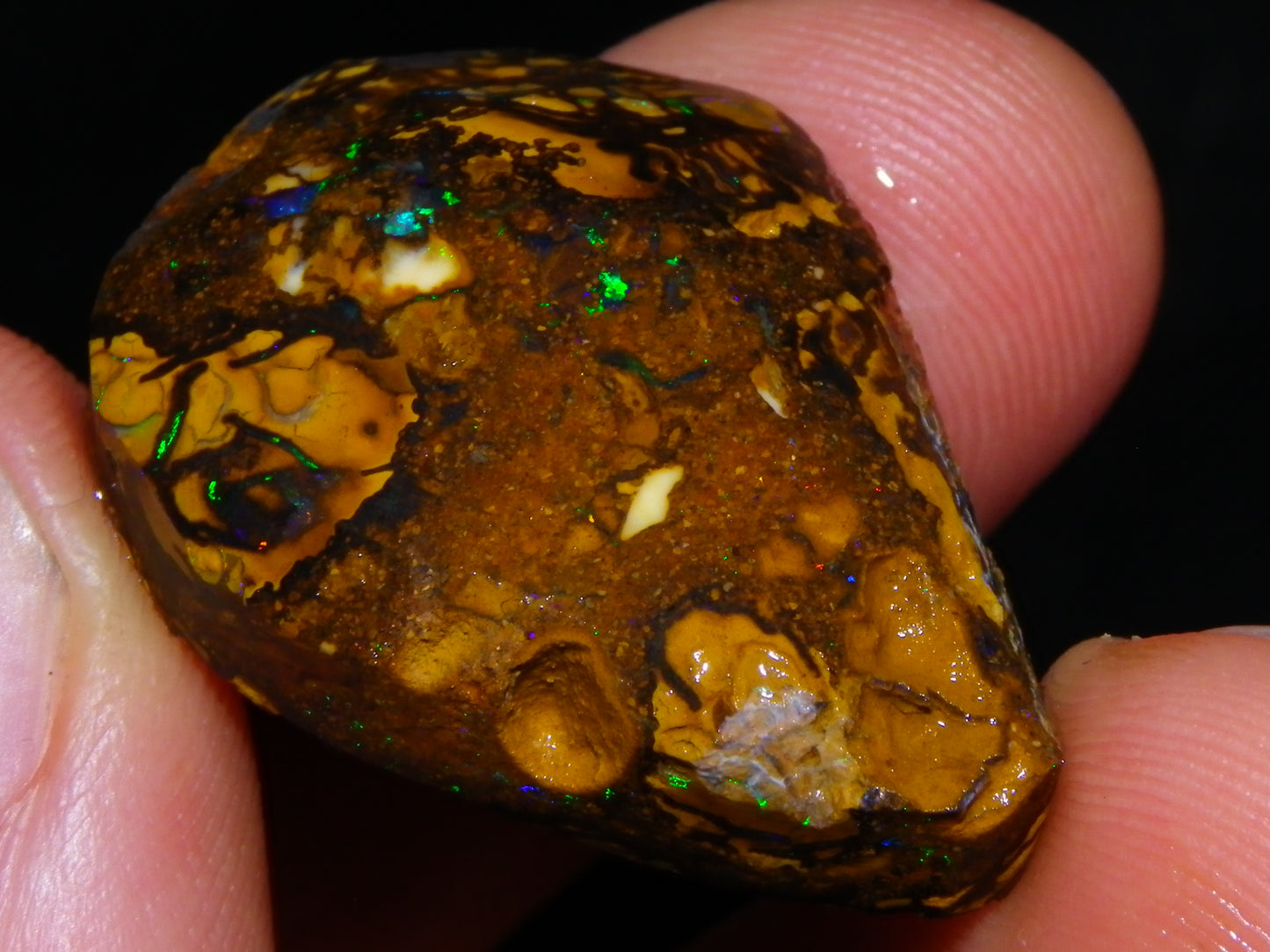 Nice Rubs/Rubbed Preform Koroit Opals x2  Qld Au 65.3cts Patterns/Fires Australia