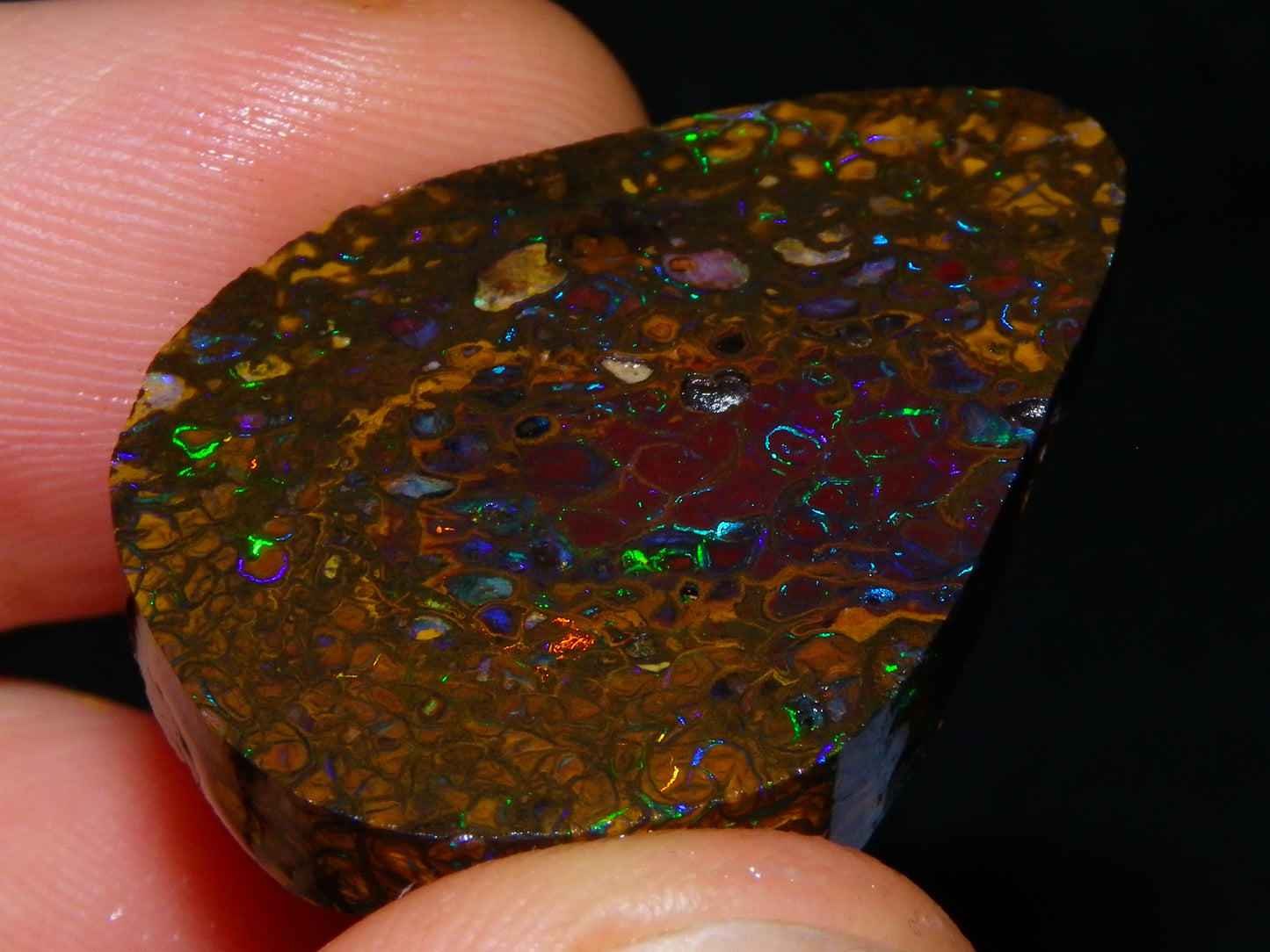 Nice Rubs/Rubbed Preform Koroit Opals x2  Qld Au 65.3cts Patterns/Fires Australia