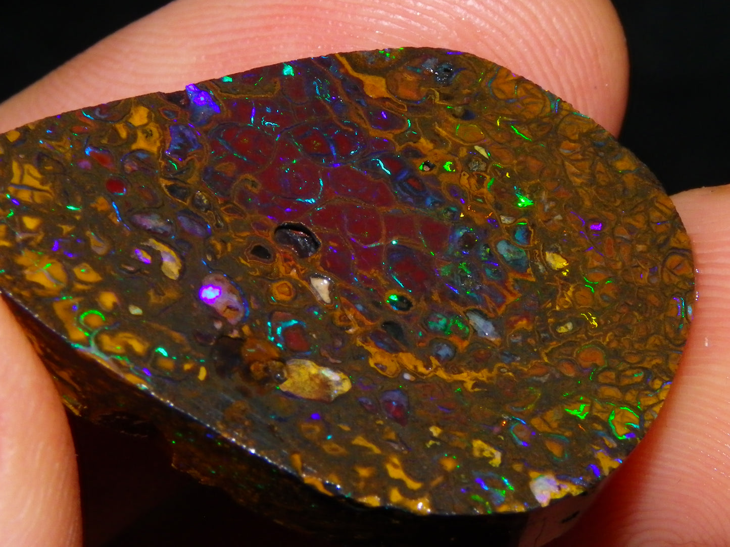 Nice Rubs/Rubbed Preform Koroit Opals x2  Qld Au 65.3cts Patterns/Fires Australia