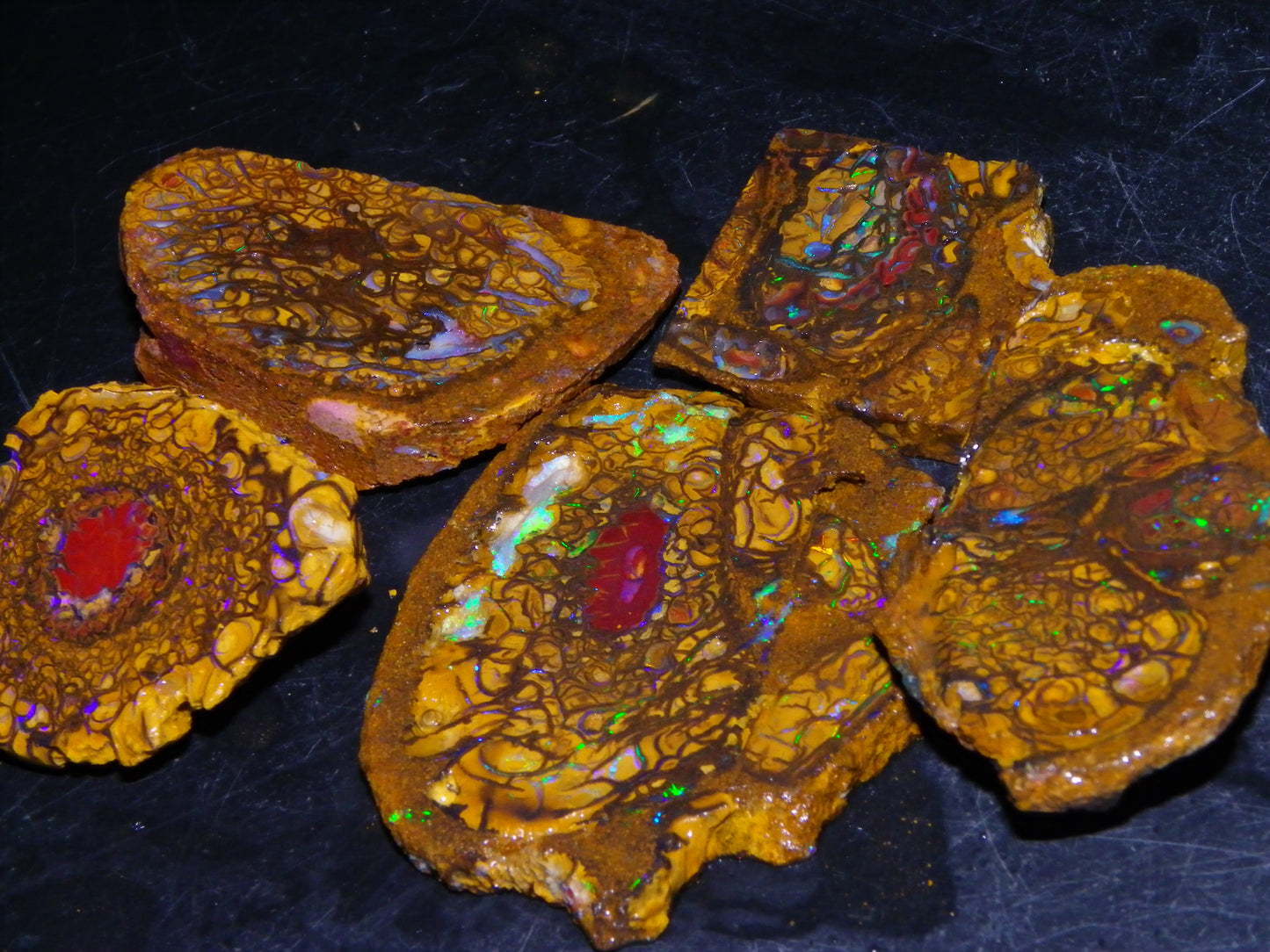 5 Nice Rough/Sliced Koroit Opals/Nuts 315cts Queensland Australia Green/Blue Fires/Patterns