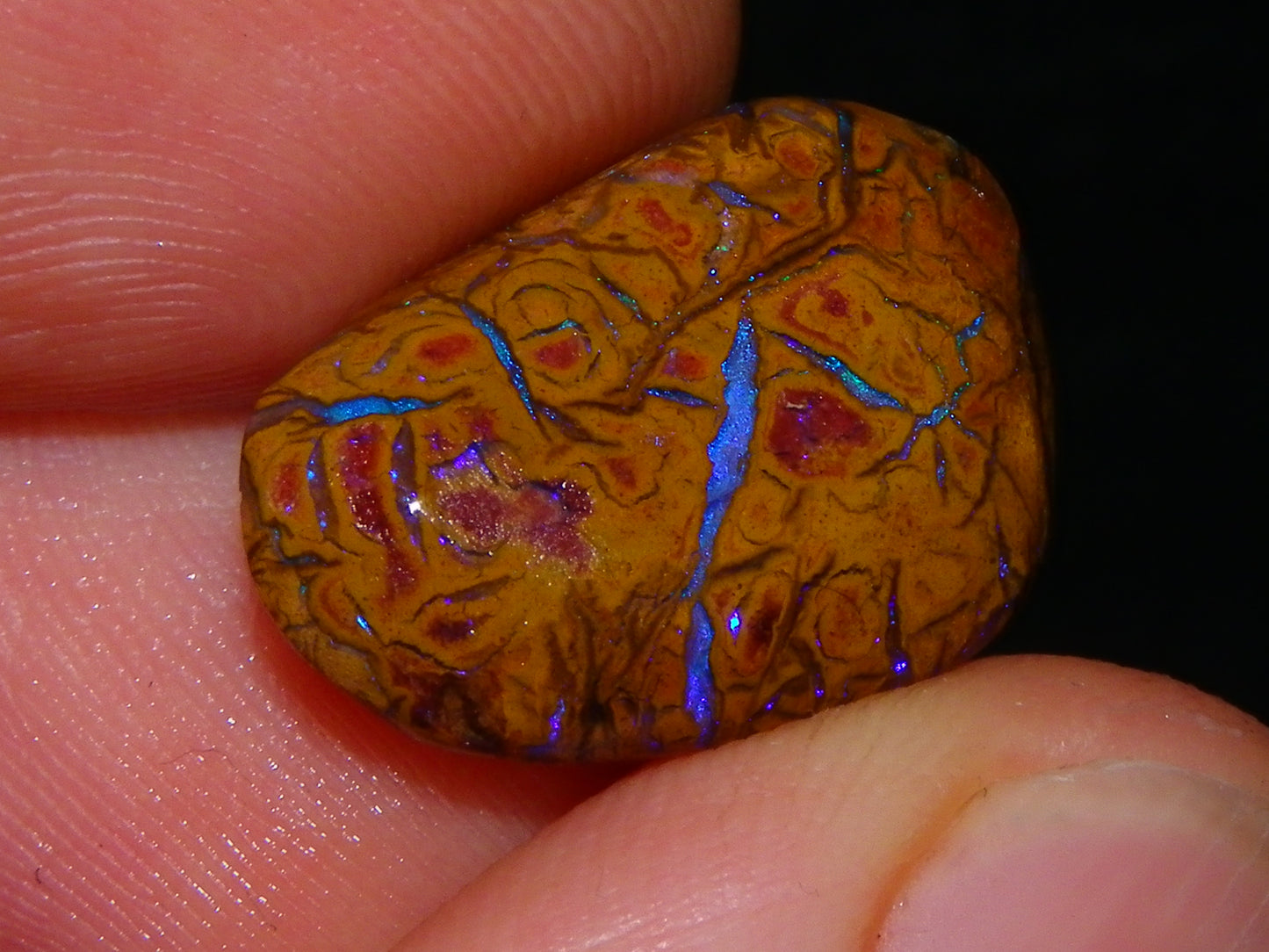 Nice Rubs/Rubbed Preform Koroit Opals x2  Qld Au 65.3cts Patterns/Fires Australia