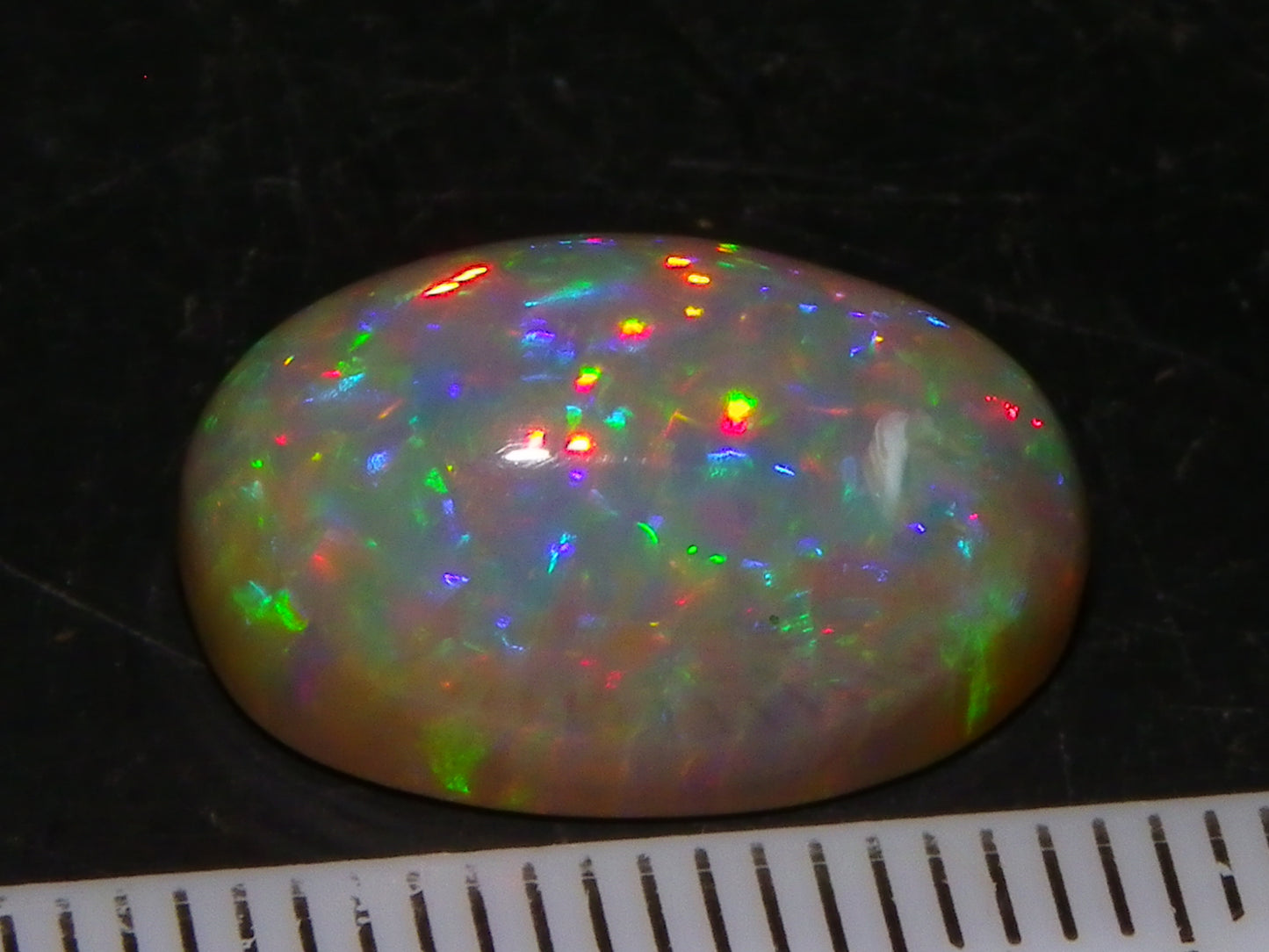 Nice Dark Base welo Crystal Opal Cab 6.45cts Multicolour Blue/Red/Orange Fires