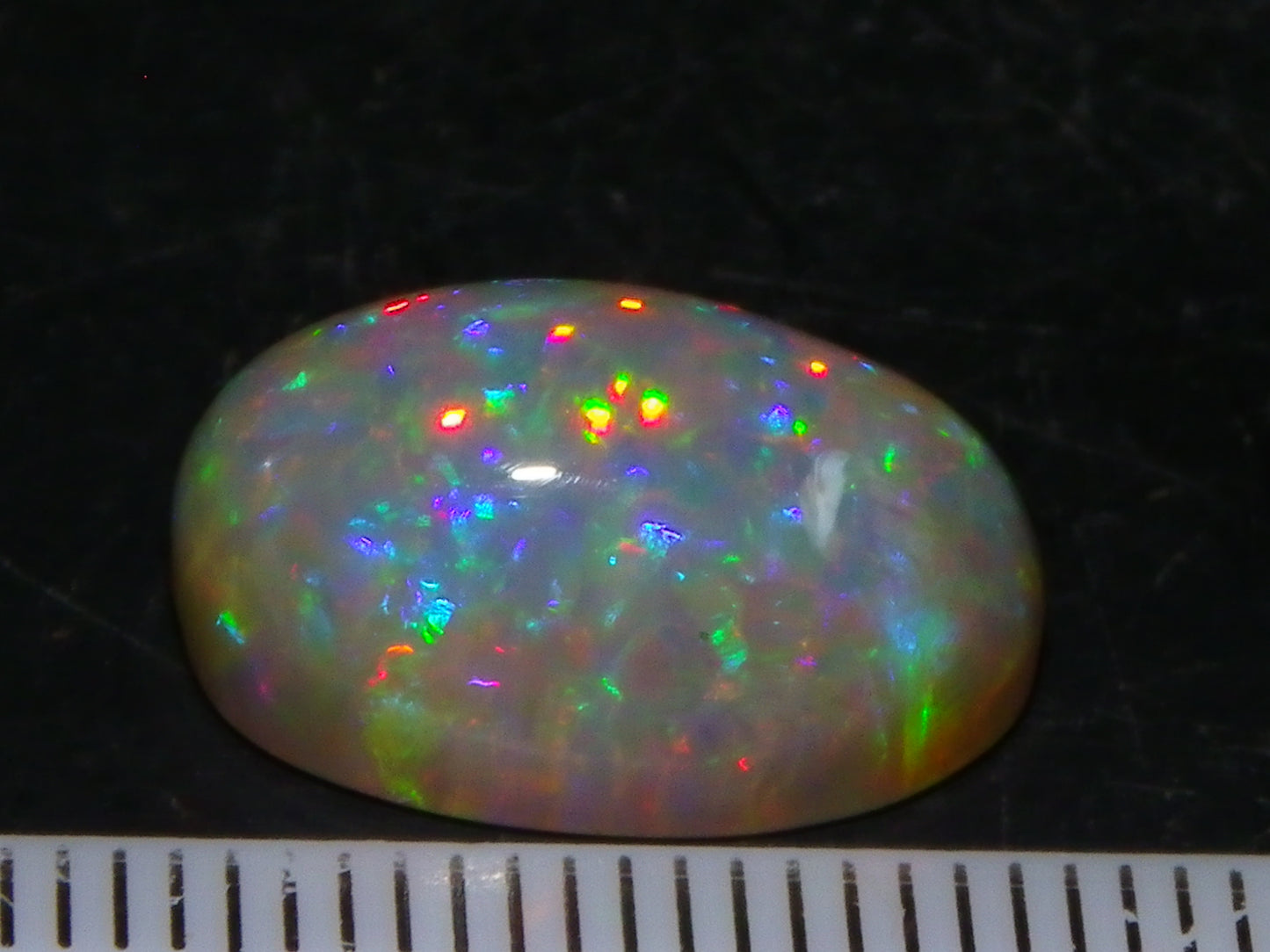 Nice Dark Base welo Crystal Opal Cab 6.45cts Multicolour Blue/Red/Orange Fires