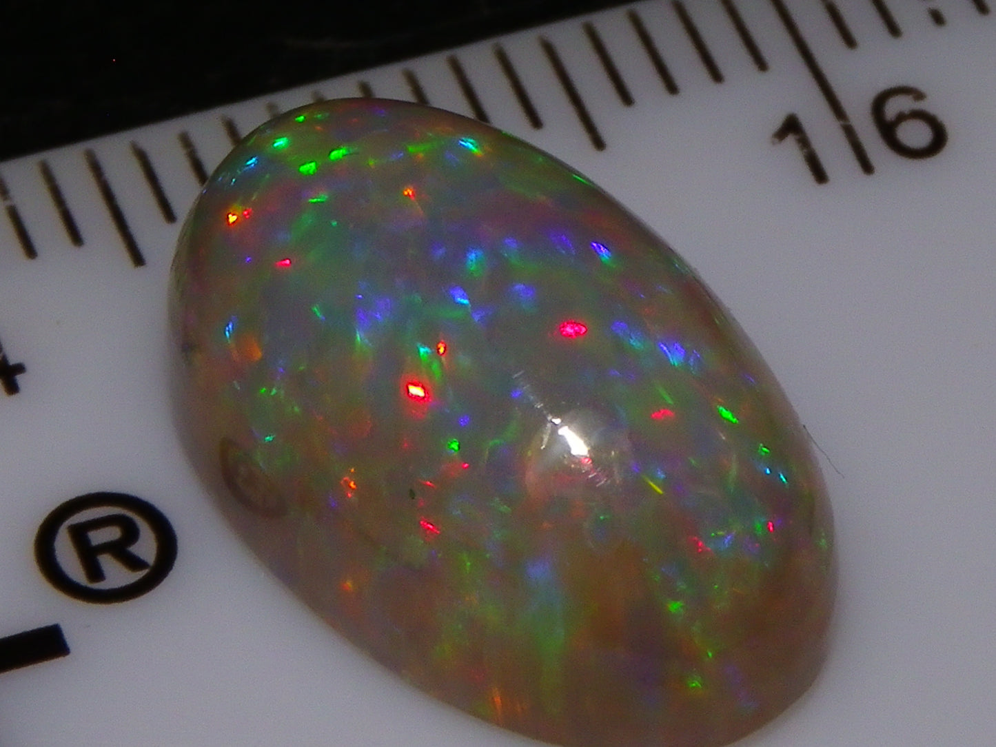 Nice Dark Base welo Crystal Opal Cab 6.45cts Multicolour Blue/Red/Orange Fires