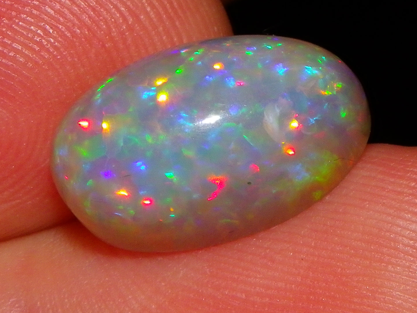 Nice Dark Base welo Crystal Opal Cab 6.45cts Multicolour Blue/Red/Orange Fires