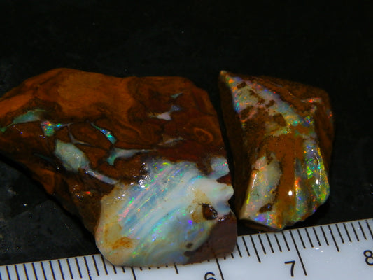 2 Nice Rubbed/Rough Boulder Opals 61.2cts Queensland Australia Multicolours