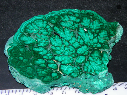 Huge 1246cts Botroydal Malachite Polished Slice/Specimen Superb Patterns Double sided