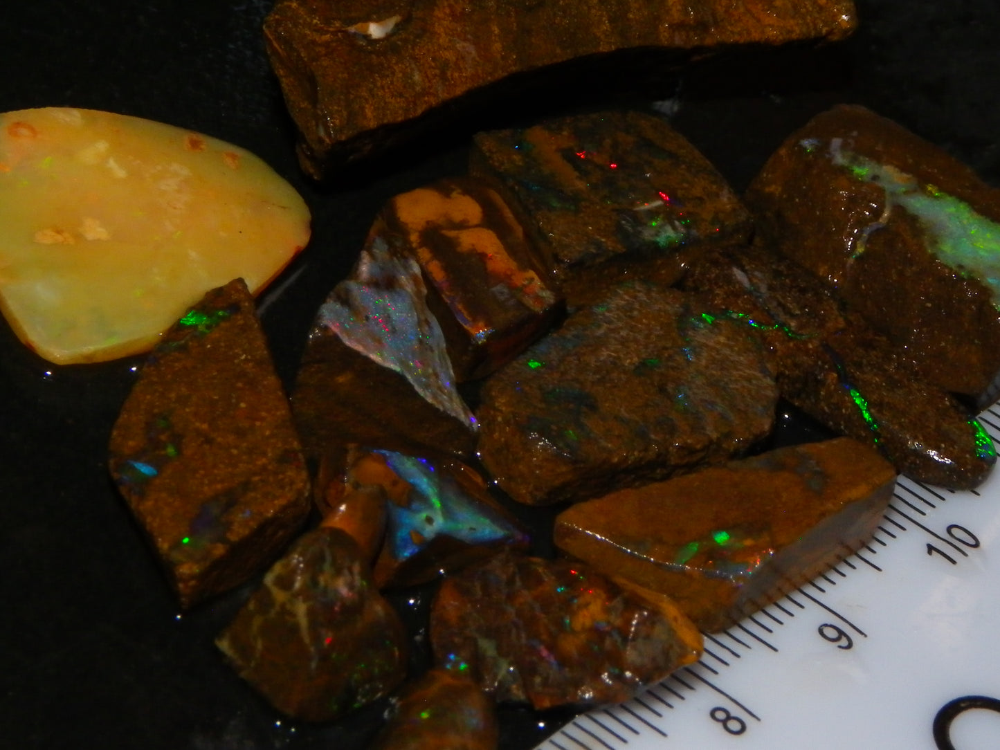 Nice Boulder Opal Rough/Rubs 179cts Mixed Fires Ironstone Base Queensland Au