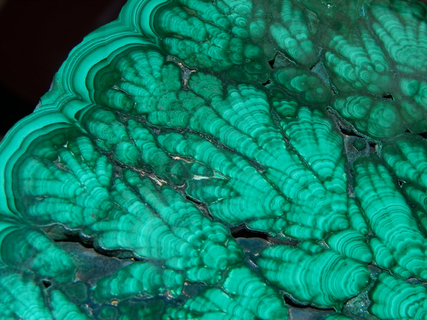 Huge 1246cts Botroydal Malachite Polished Slice/Specimen Superb Patterns Double sided