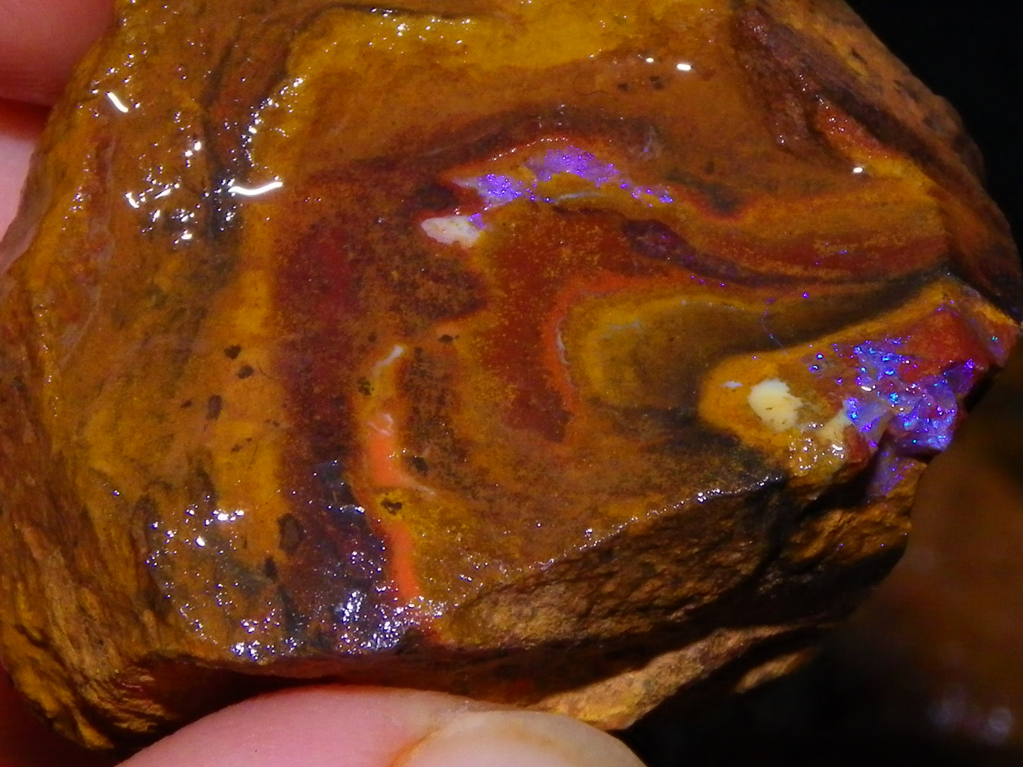 Nice Queensland Koroit Opal Rough Parcel 4445cts Some Fires/Patterns/specimens