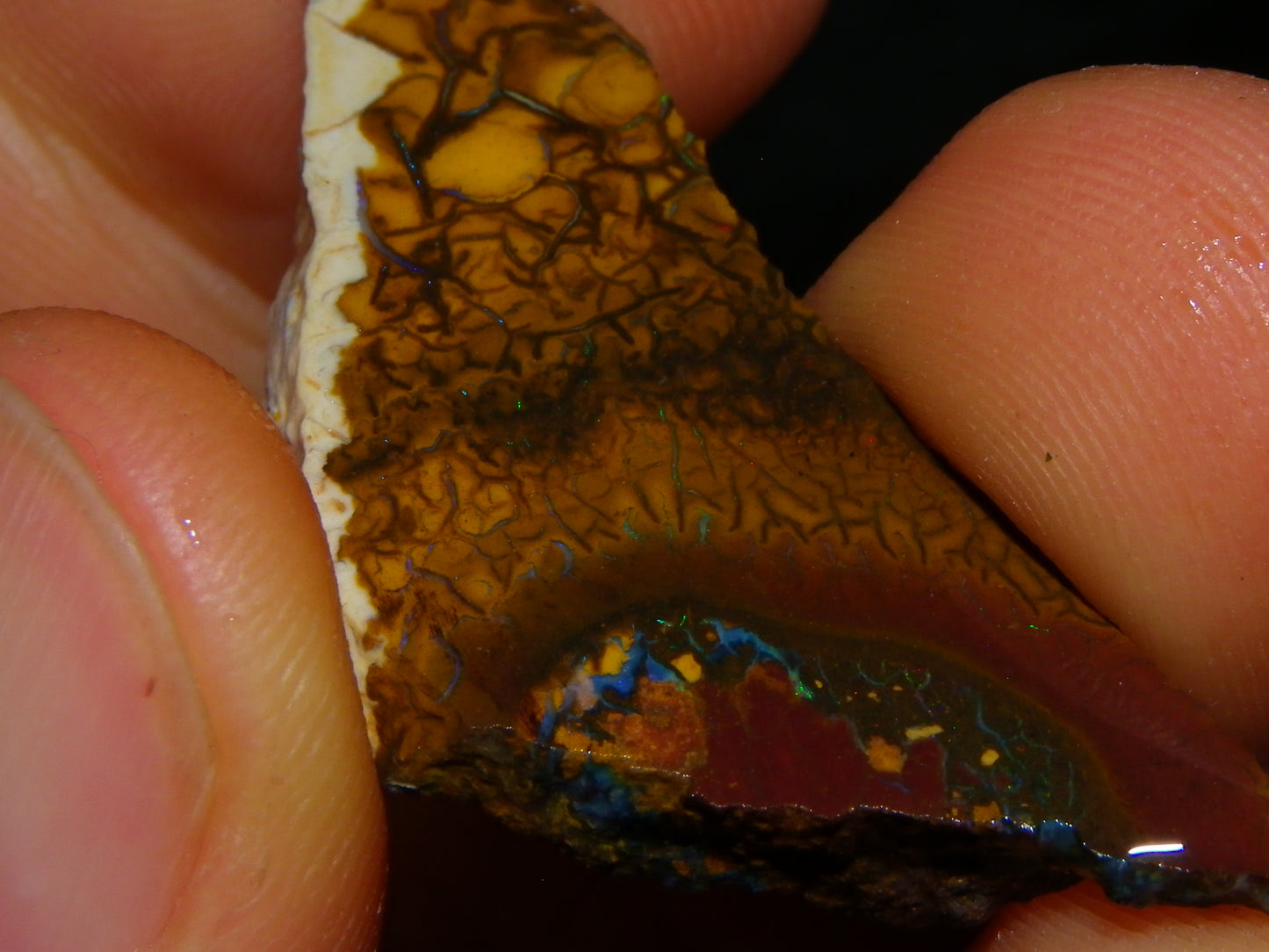 Nice Sliced Koroit/Boulder Opal Parcel 106cts Queensland Australia Greens/Patterns