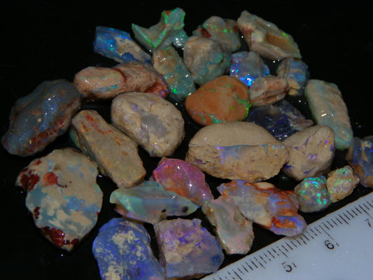 Nice Lightning Ridge Fossil Opal specimens Parcel 108.6cts some Fires Green/Purples