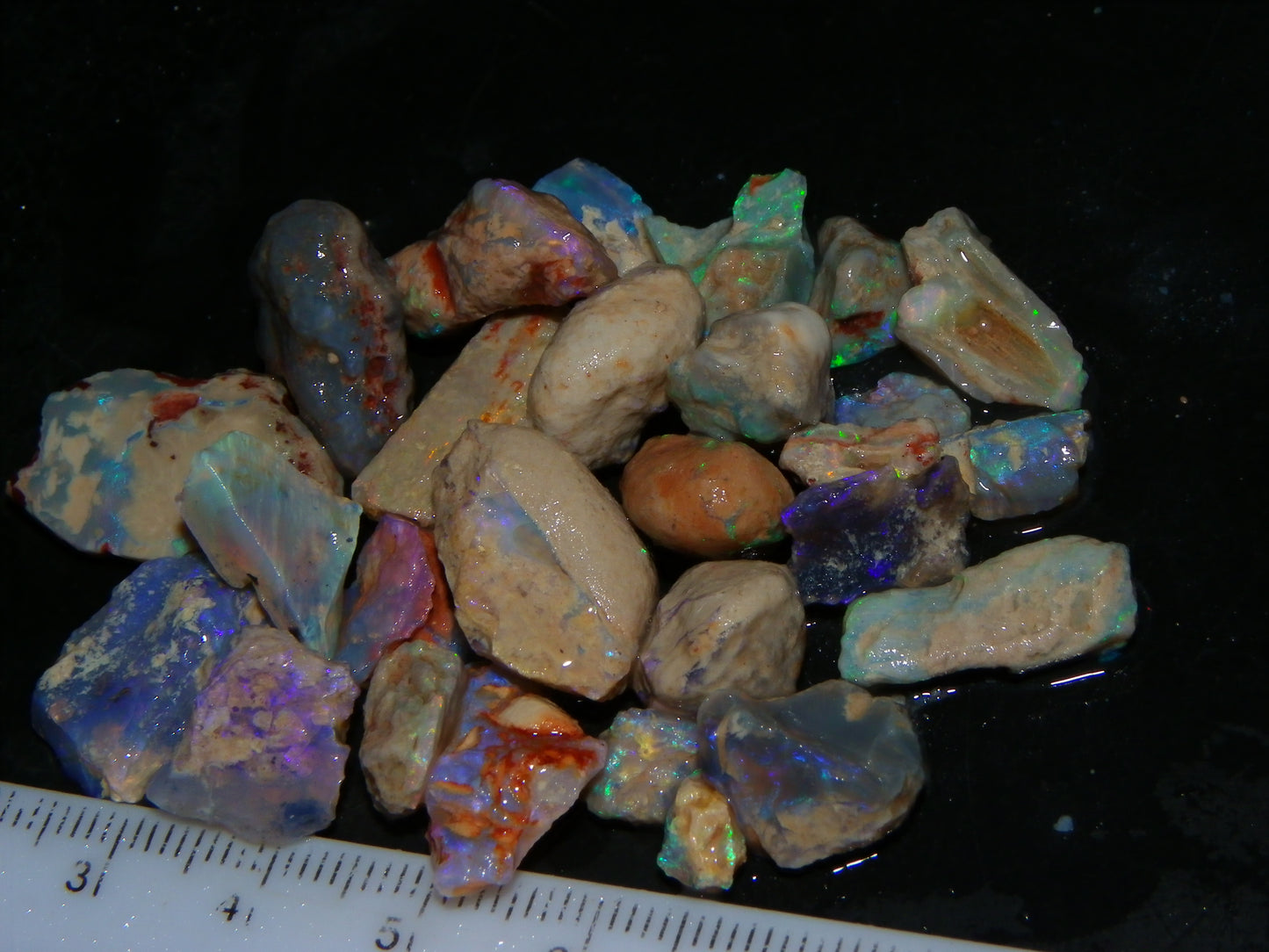 Nice Lightning Ridge Fossil Opal specimens Parcel 108.6cts some Fires Green/Purples