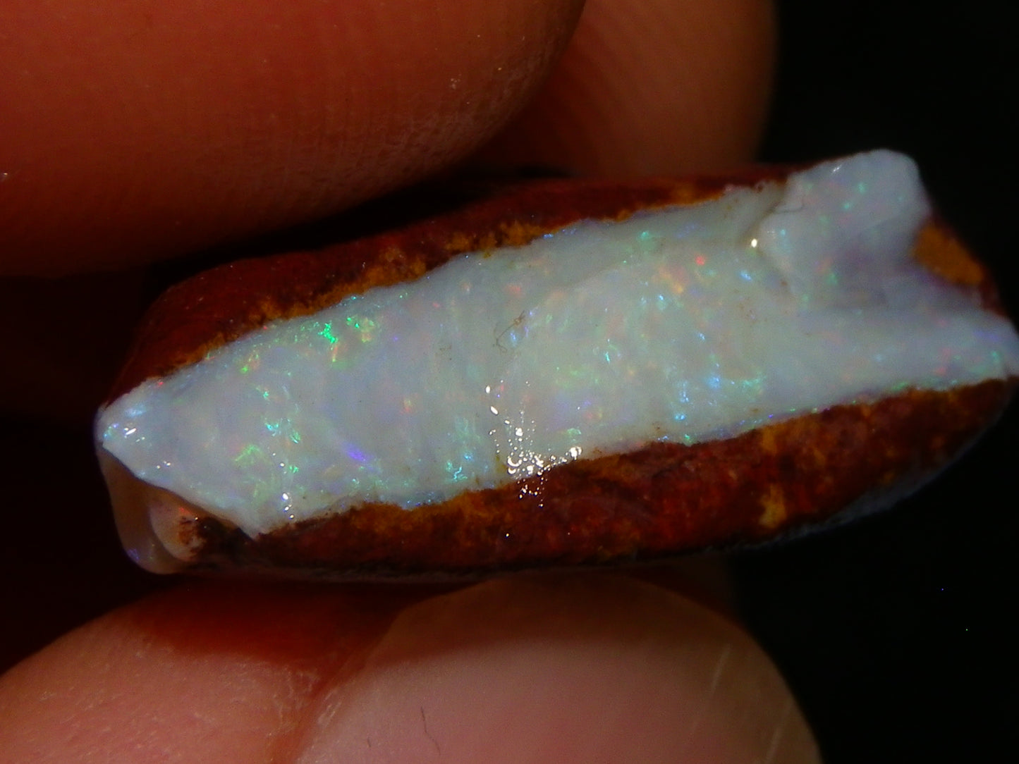 Nice Rough Opal Specimens/Seam 58.5cts Coober Pedy Australia Multicolours