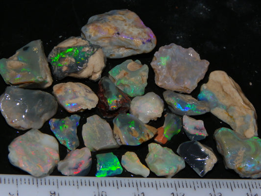 Nice Lightning Ridge Fossil Opal 88.5cts Multicolours South Australia :)