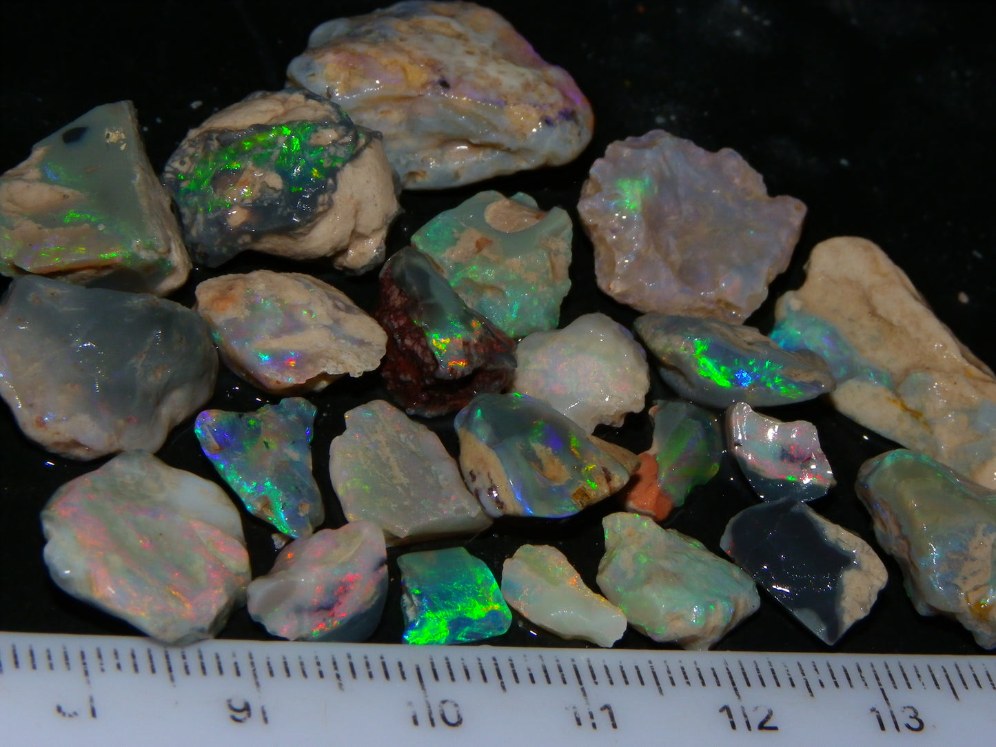 Nice Lightning Ridge Fossil Opal 88.5cts Multicolours South Australia :)