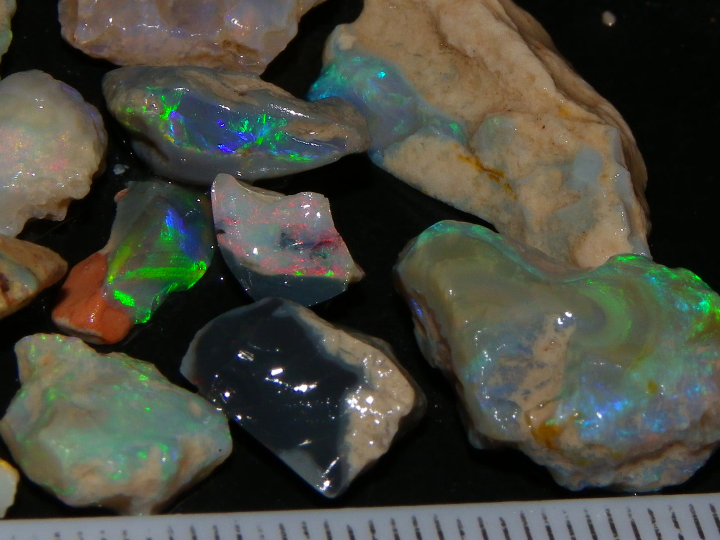 Nice Lightning Ridge Fossil Opal 88.5cts Multicolours South Australia :)