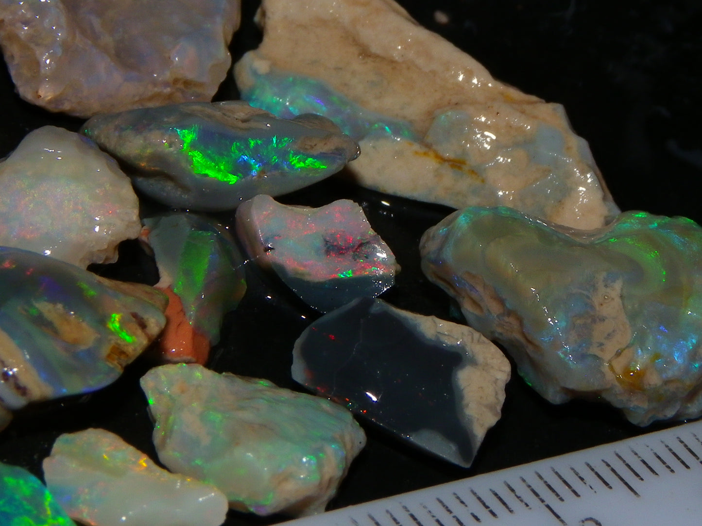 Nice Lightning Ridge Fossil Opal 88.5cts Multicolours South Australia :)