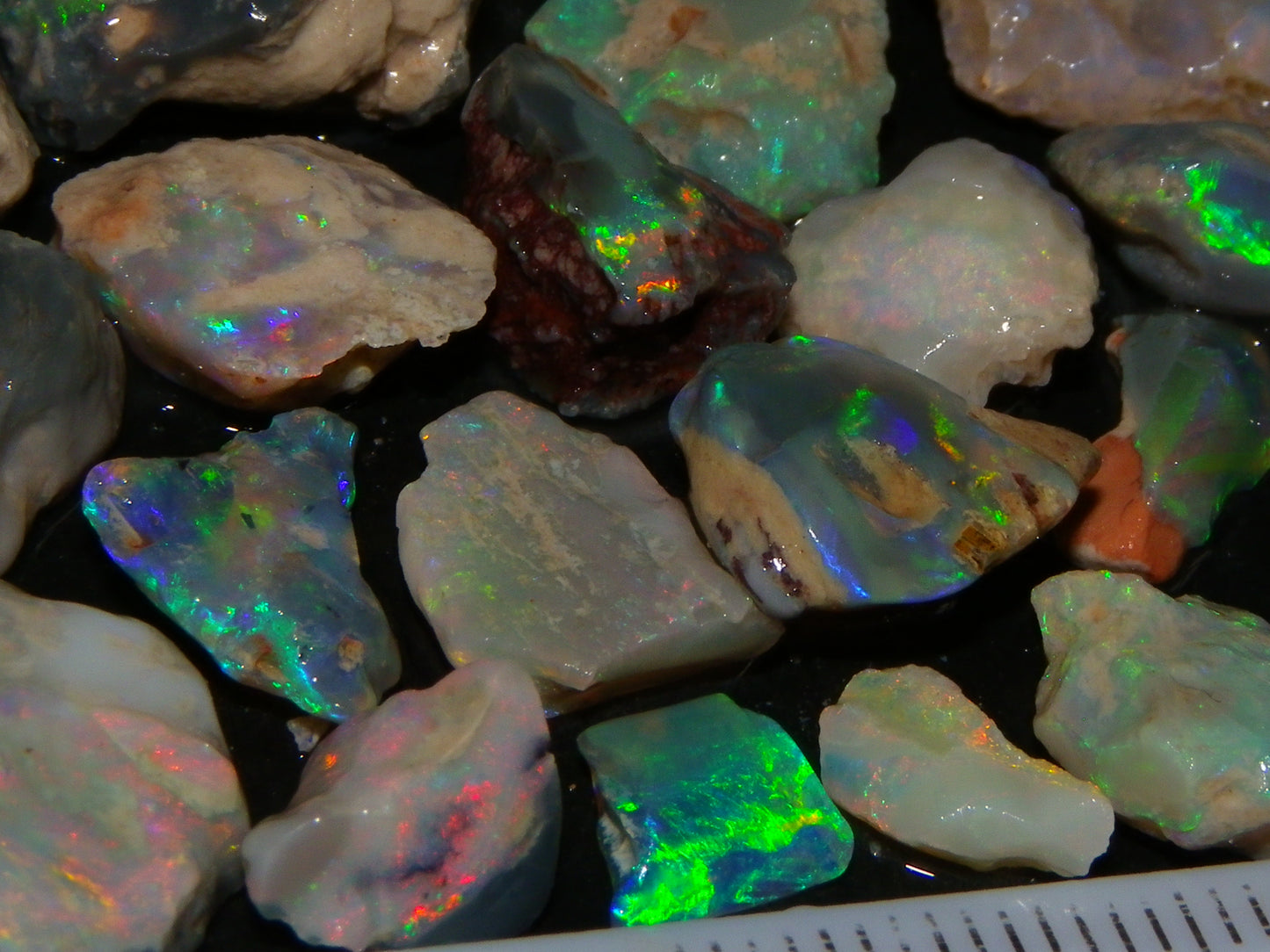 Nice Lightning Ridge Fossil Opal 88.5cts Multicolours South Australia :)