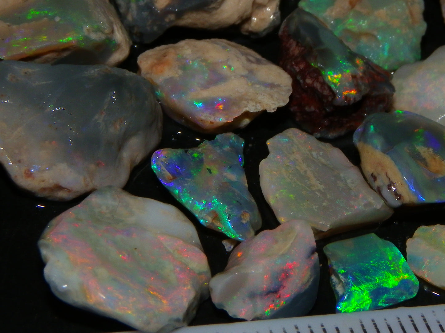 Nice Lightning Ridge Fossil Opal 88.5cts Multicolours South Australia :)