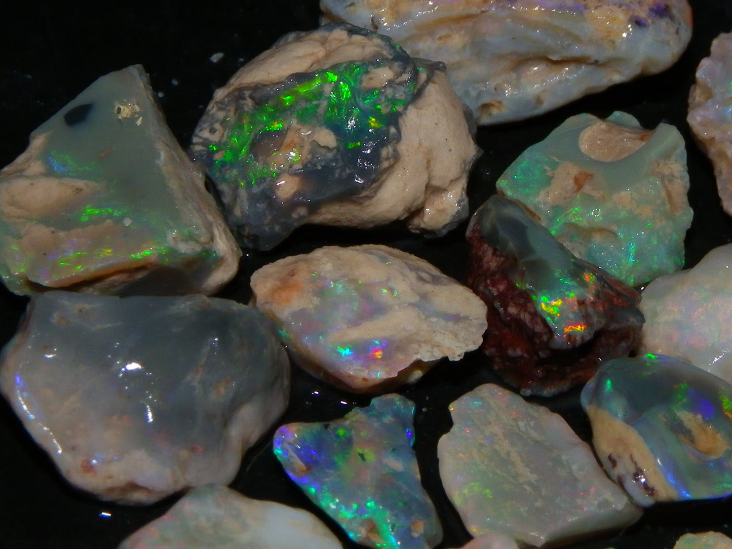 Nice Lightning Ridge Fossil Opal 88.5cts Multicolours South Australia :)