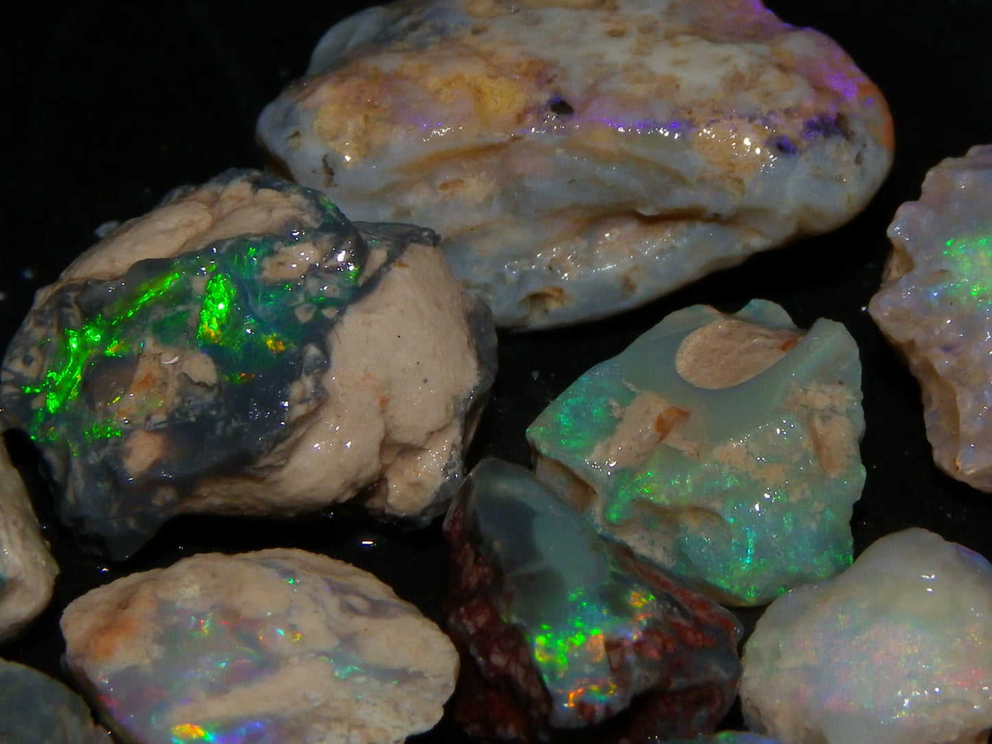 Nice Lightning Ridge Fossil Opal 88.5cts Multicolours South Australia :)