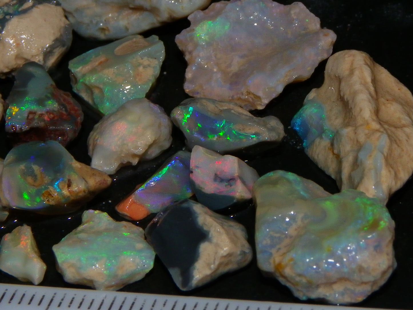 Nice Lightning Ridge Fossil Opal 88.5cts Multicolours South Australia :)