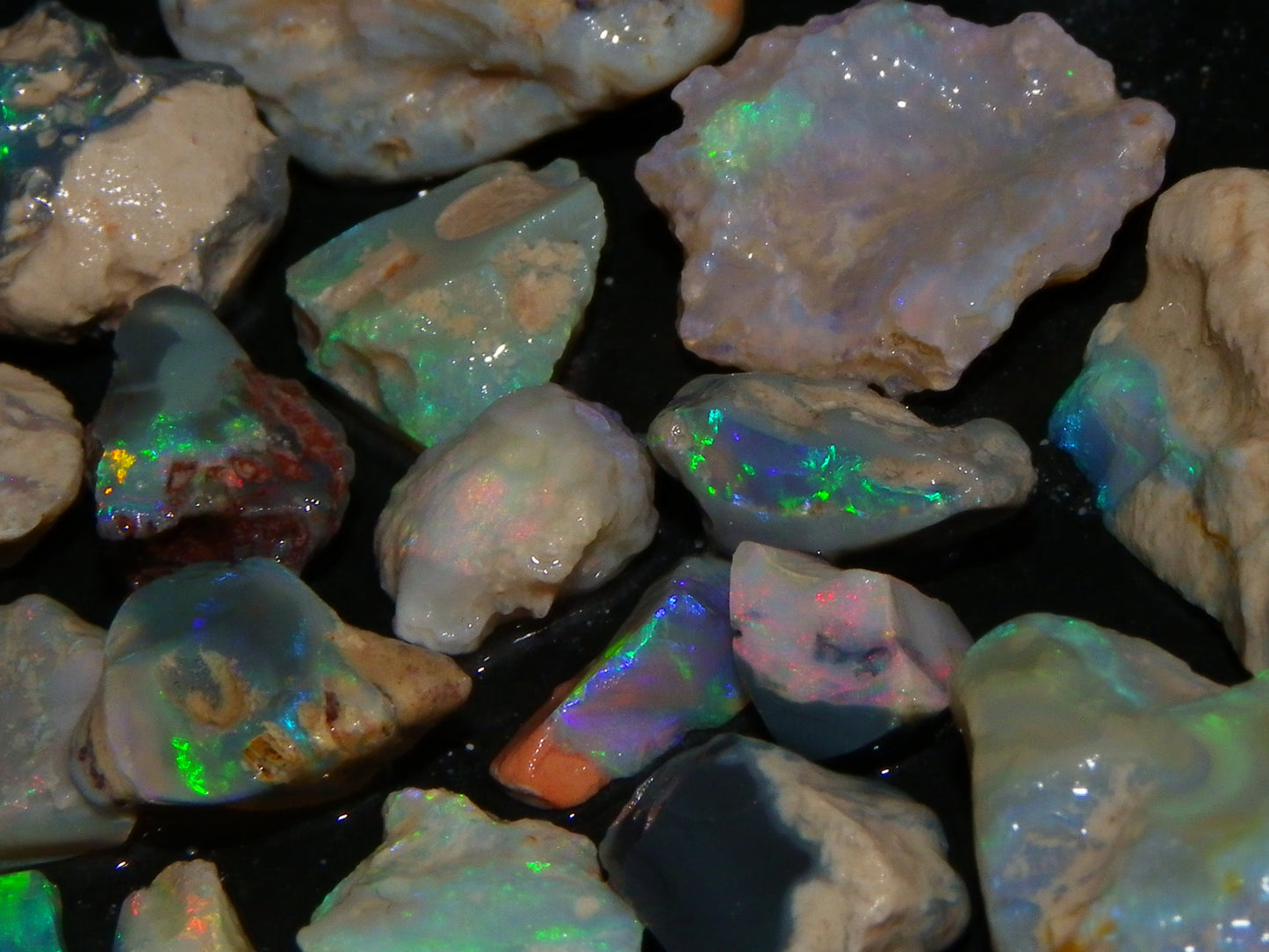 Nice Lightning Ridge Fossil Opal 88.5cts Multicolours South Australia :)