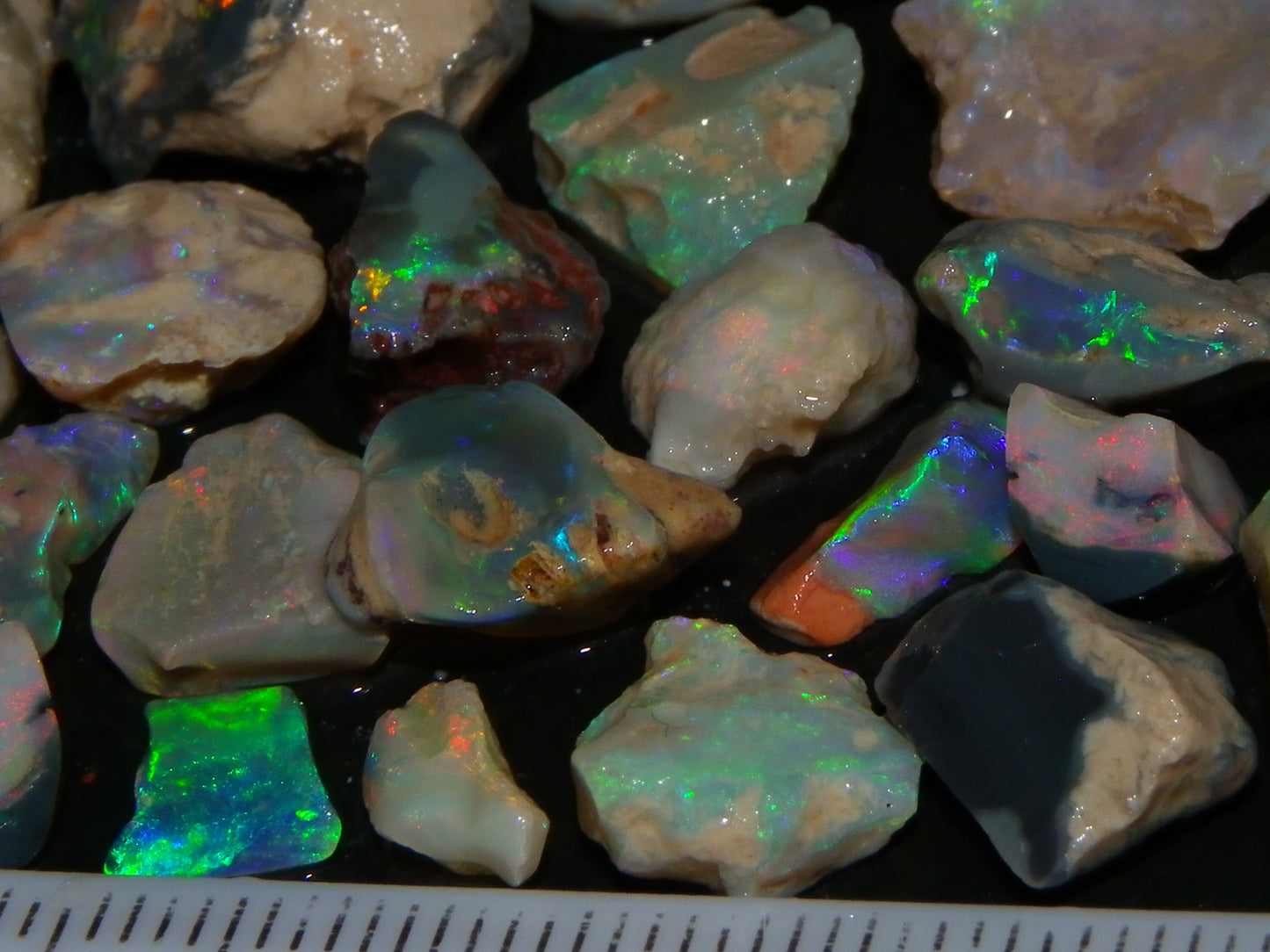 Nice Lightning Ridge Fossil Opal 88.5cts Multicolours South Australia :)