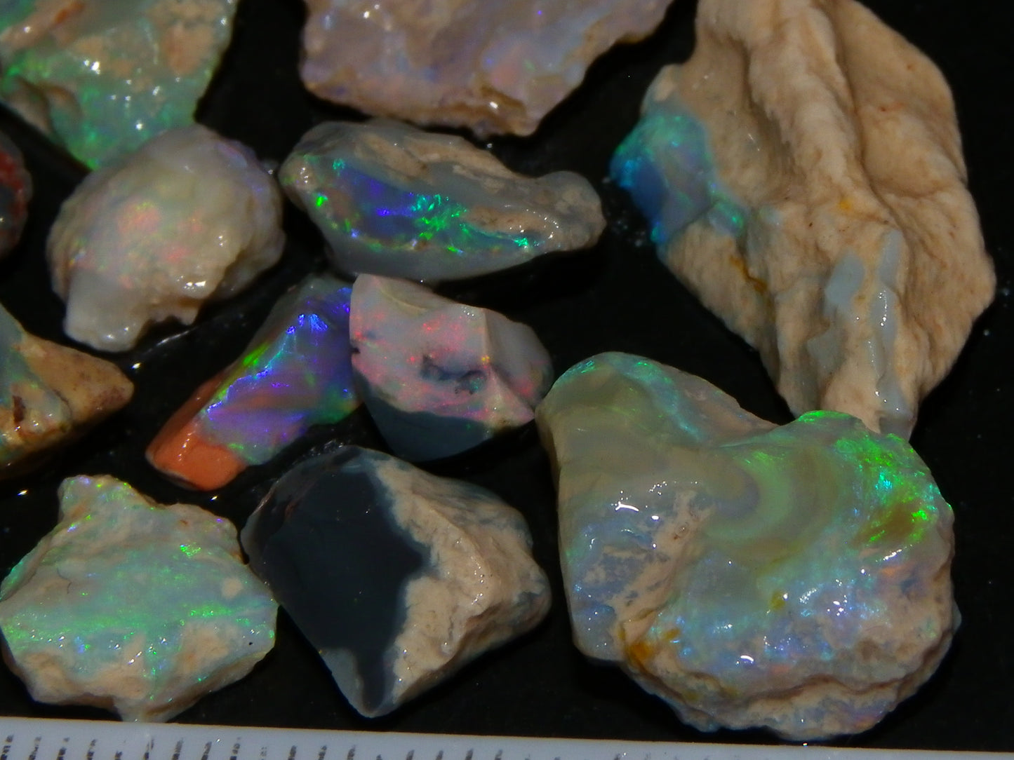 Nice Lightning Ridge Fossil Opal 88.5cts Multicolours South Australia :)