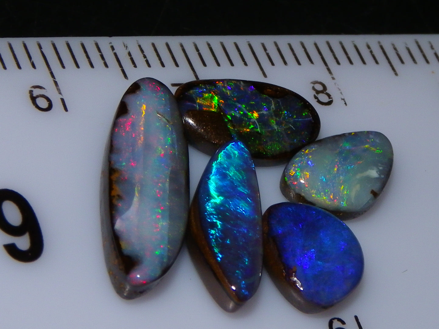 5 Cut and Polished Queensland Boulder Opal Cabs 8.22cts Mixed Fires :) Australia