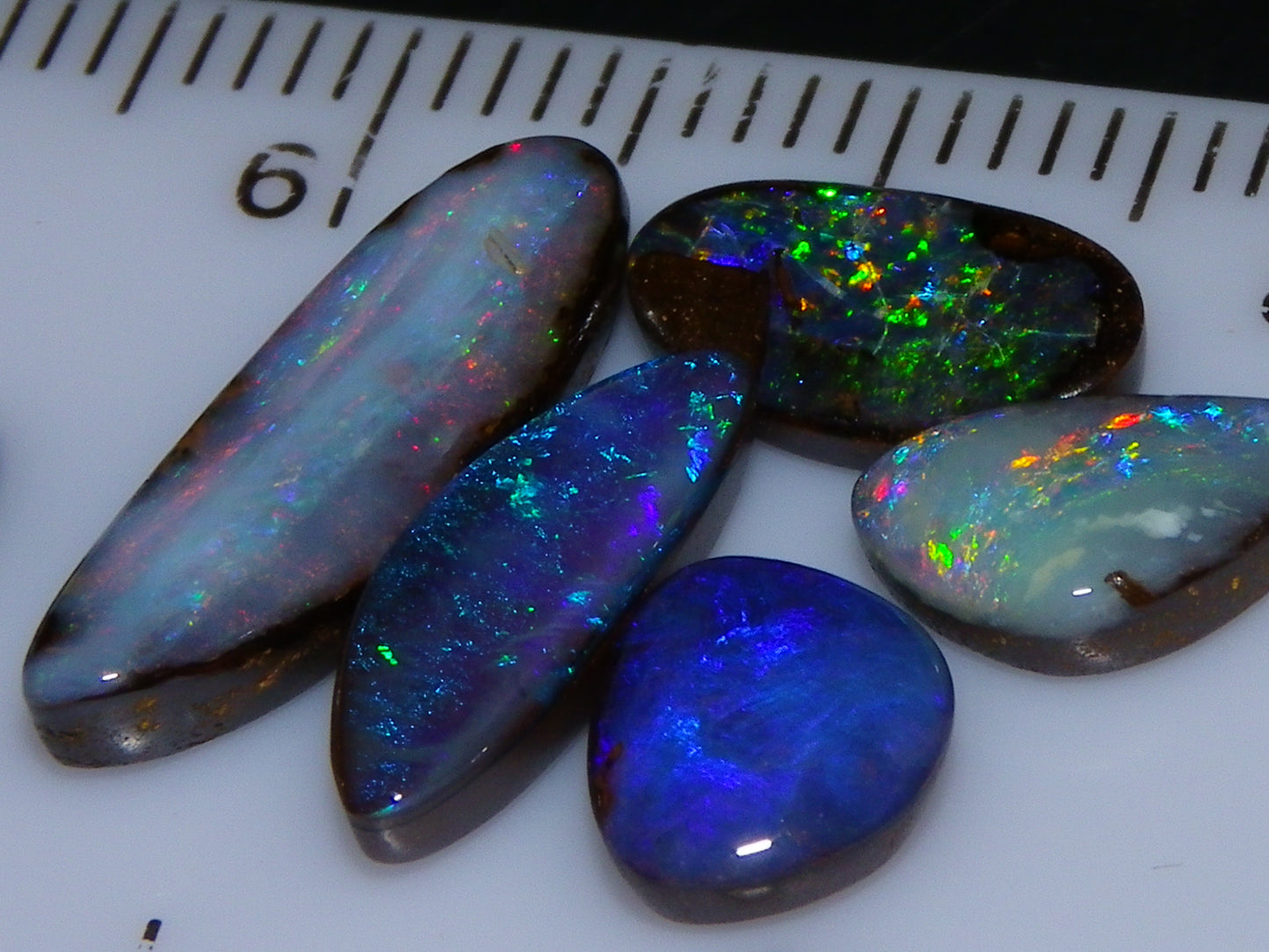 5 Cut and Polished Queensland Boulder Opal Cabs 8.22cts Mixed Fires :) Australia