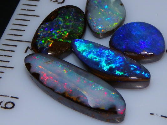 5 Cut and Polished Queensland Boulder Opal Cabs 8.22cts Mixed Fires :) Australia