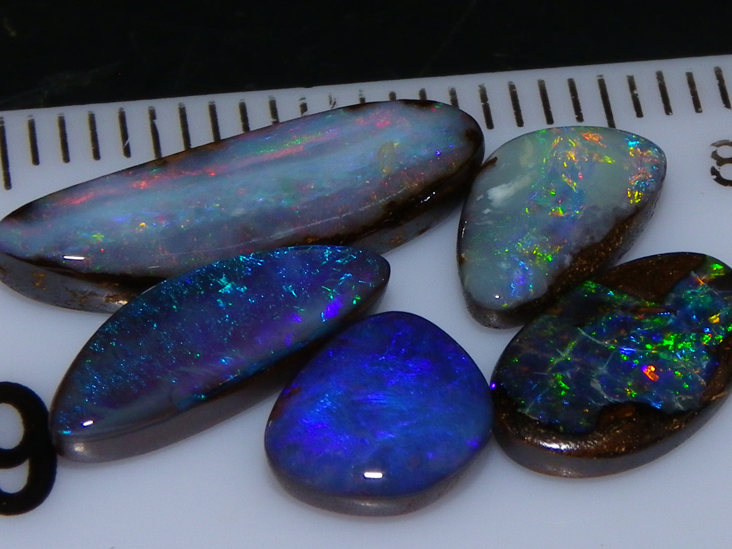 5 Cut and Polished Queensland Boulder Opal Cabs 8.22cts Mixed Fires :) Australia