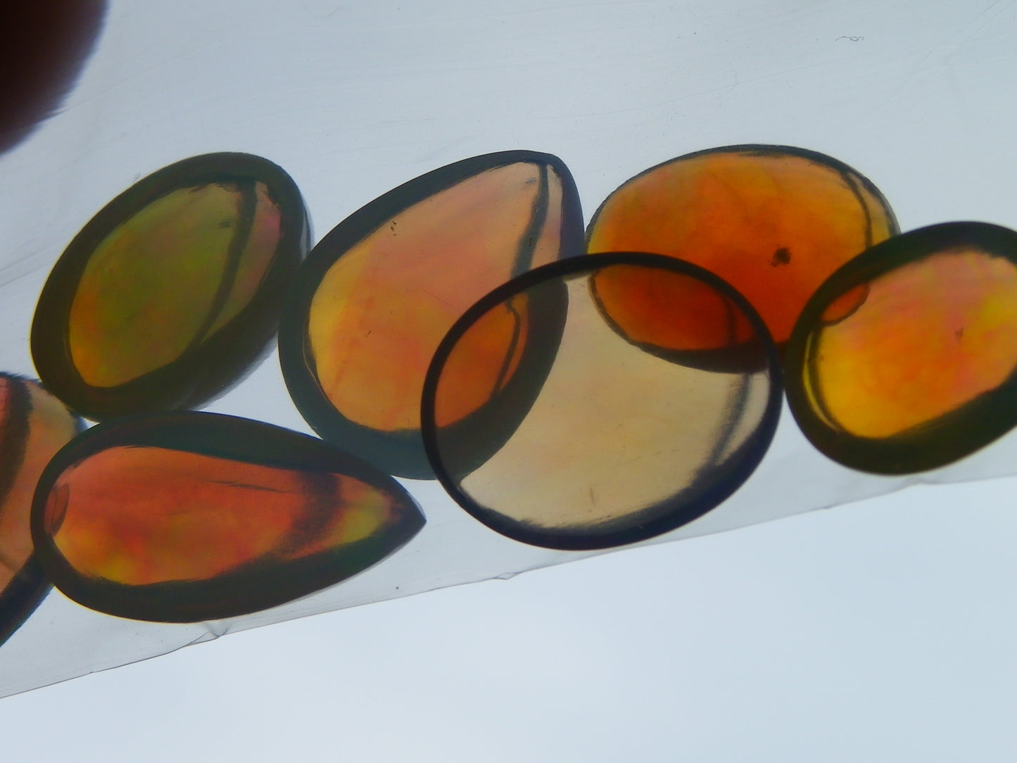 7 Nice Welo Crystal Opal Cabs 20.78cts Multicolour Fires Ethiopia