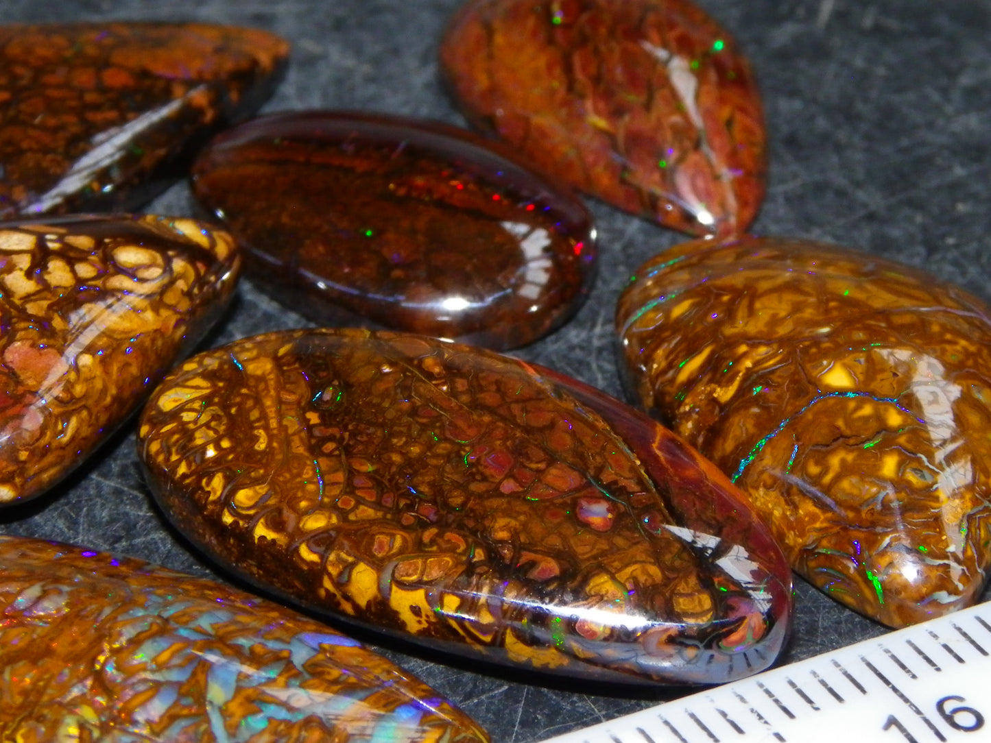 7 Nice Koroit Opal Cabs/Freeforms 96.9cts Green/Blues Patterns double sided Qld Au