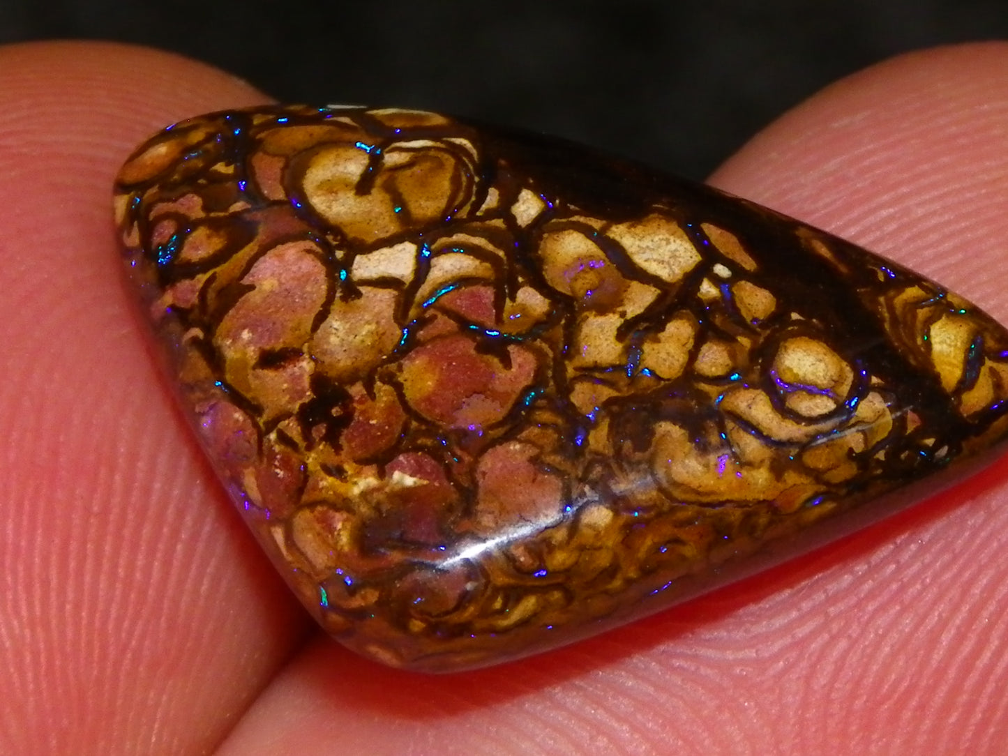 7 Nice Koroit Opal Cabs/Freeforms 96.9cts Green/Blues Patterns double sided Qld Au