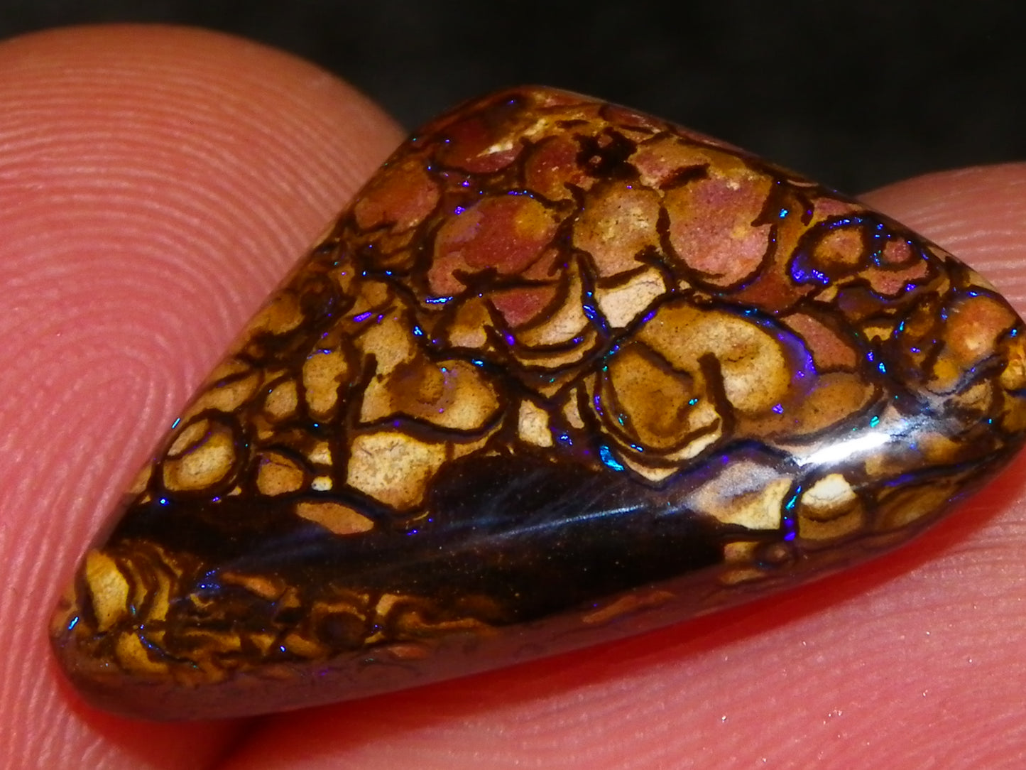 7 Nice Koroit Opal Cabs/Freeforms 96.9cts Green/Blues Patterns double sided Qld Au