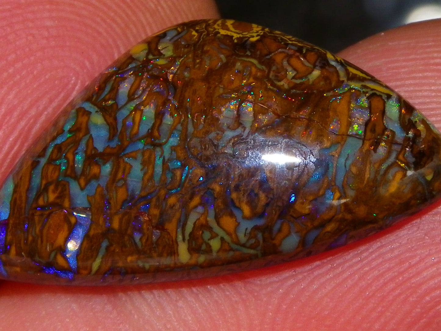 7 Nice Koroit Opal Cabs/Freeforms 96.9cts Green/Blues Patterns double sided Qld Au